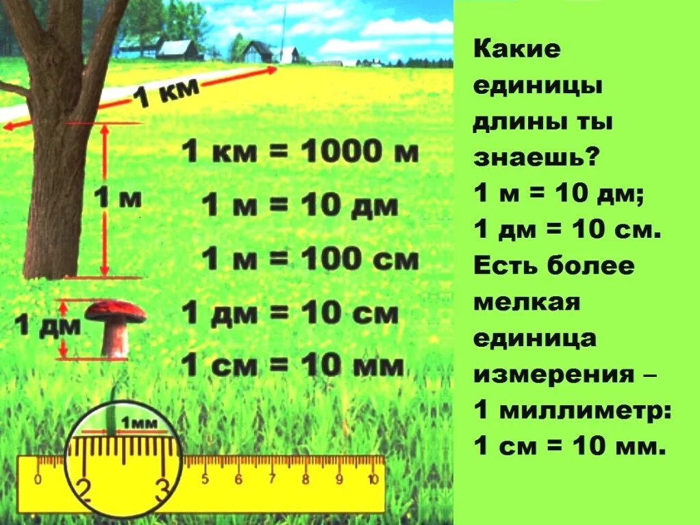 Единица длины 3 класс математика. Единицы длины. Единицы измерения длины таблица. Меры измерения длины. Величины длины.