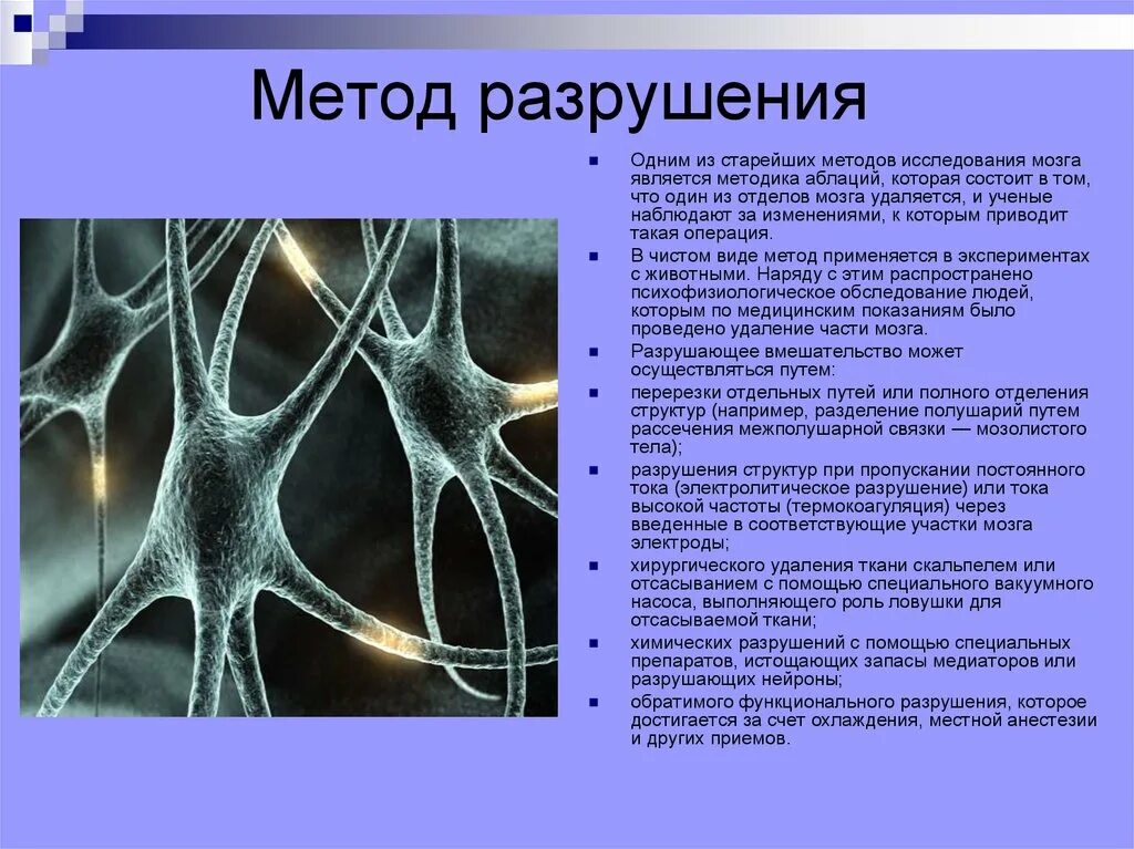 Разрушенная нервная система. Метод деструкции. Метод разрушения. Разрушающие методы исследования. Метод разрушения физиология.