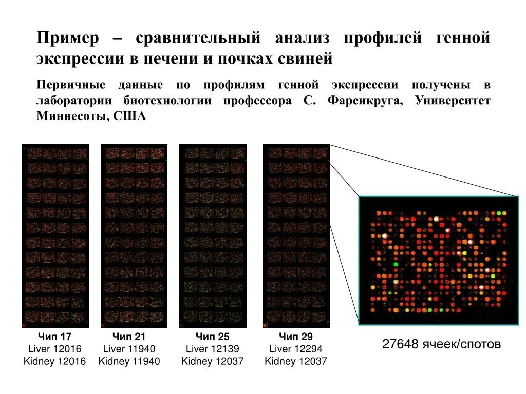 Образец сравнительного анализа. Сравнительный анализ образец. Сравнительные образцы примеры. Пример сравнительного анализа определений. Пример сравнительного анализа промышленных образцов.