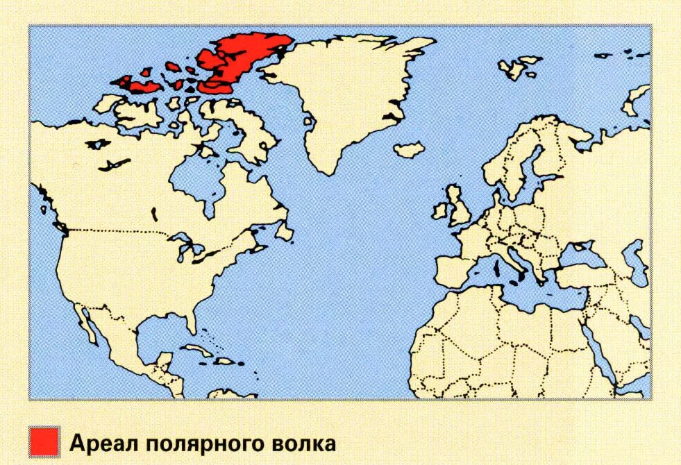 Полярный волк где находится на карте. Полярный волк ареал. Полярный волк ареал обитания. Арктический волк ареал. Полярный волк ареал обитания карта.