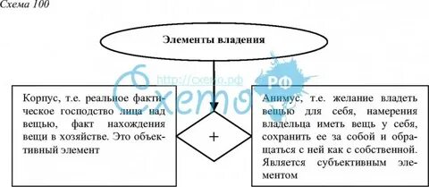 Элементы владения