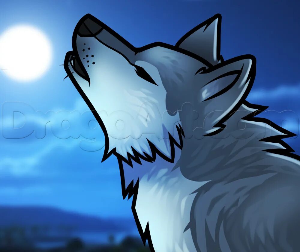 How to wolf