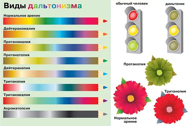 Дальтонизм спектр цветов. Виды дальтонизма. Виды цветовой слепоты. Виды дальтоников.