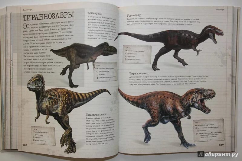 Книга меловой период динозавры и другие доисторические животные. Книга динозавры и другие доисторические животные. , филиппова м. Книга динозавры. Книги о доисторических животных.