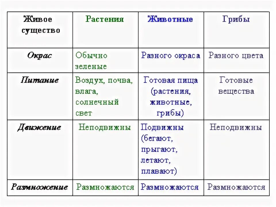 10.01. 24. 6 урок 13.10 Биология. учитель Матвеенкова Ю.Ю. Тема Питание и пищева