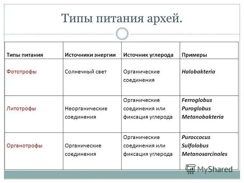Типы питания прокариот архея. Типы архей. Типы питания. Презентация на тему архейская эра. Типы архей.