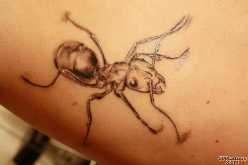 Ant ink