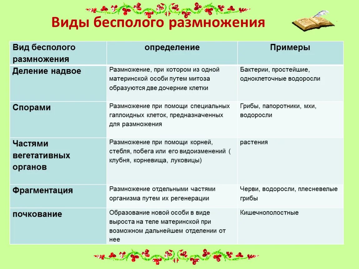 Способы бесполого размножения таблица с примерами. Способы бесполого размножения таблица. Бесполое размножения способ характеристика примеры. Деление клетки бесполое размножение примеры.