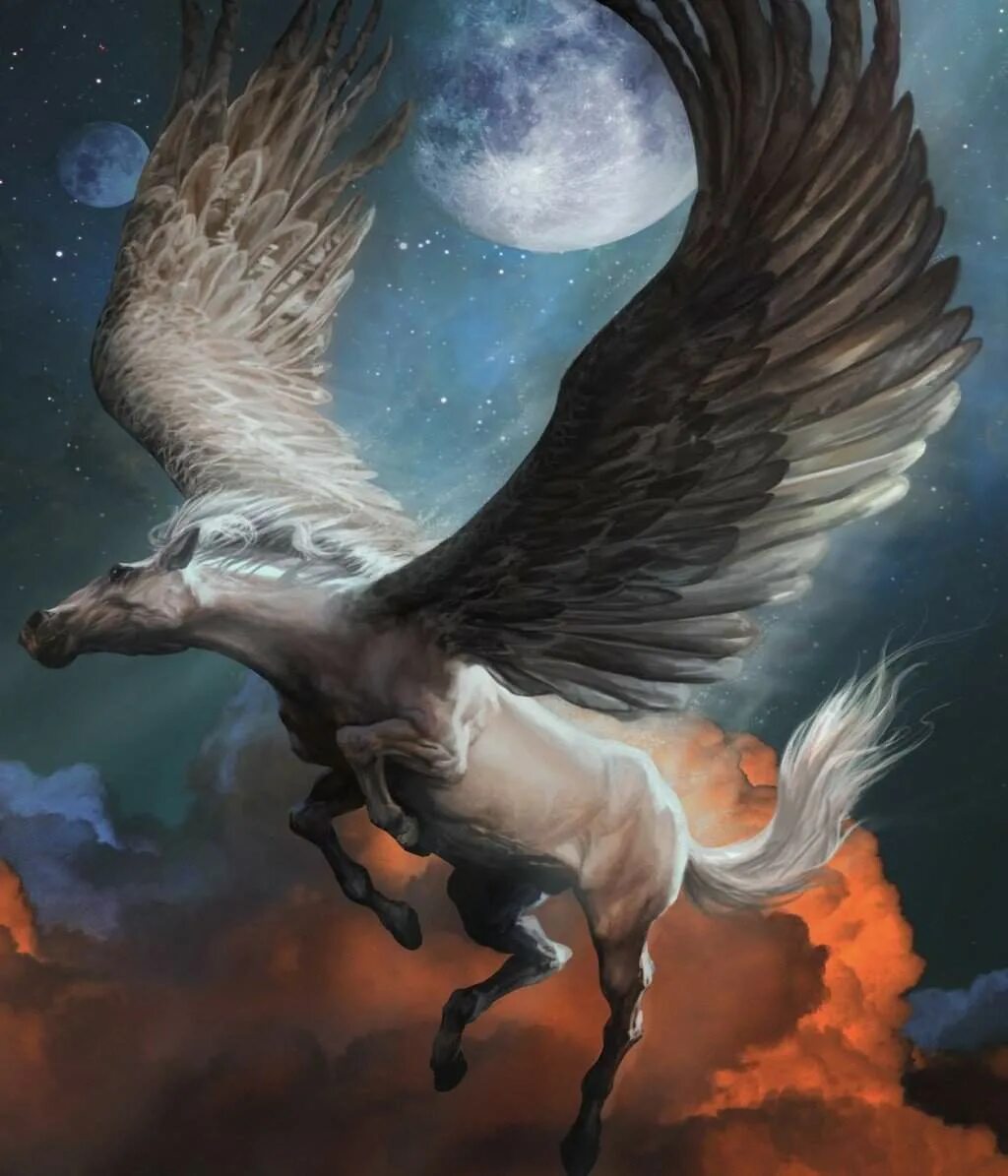Орел гарпия арт. Грифон и гиппогриф. Виверна арт фэнтези. Гарпия греческая мифология. Белый грифон птица.