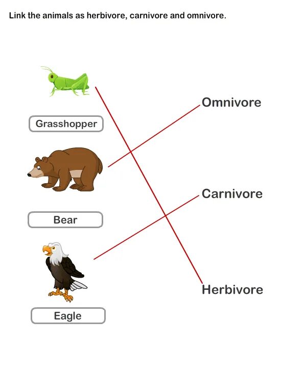 Carnivore перевод. Herbivore Carnivore Omnivore. Herbivore Carnivore Omnivore Worksheet. Herbivores Carnivores and Omnivores. Herbivores and Carnivores Worksheet for Kids.