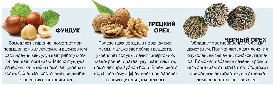 Содержится ли йод в грецких орехах. Орехи для повышения давления. Грецкий орех повышает давление. Грецкий орех содержит йод. Кровь после орехов