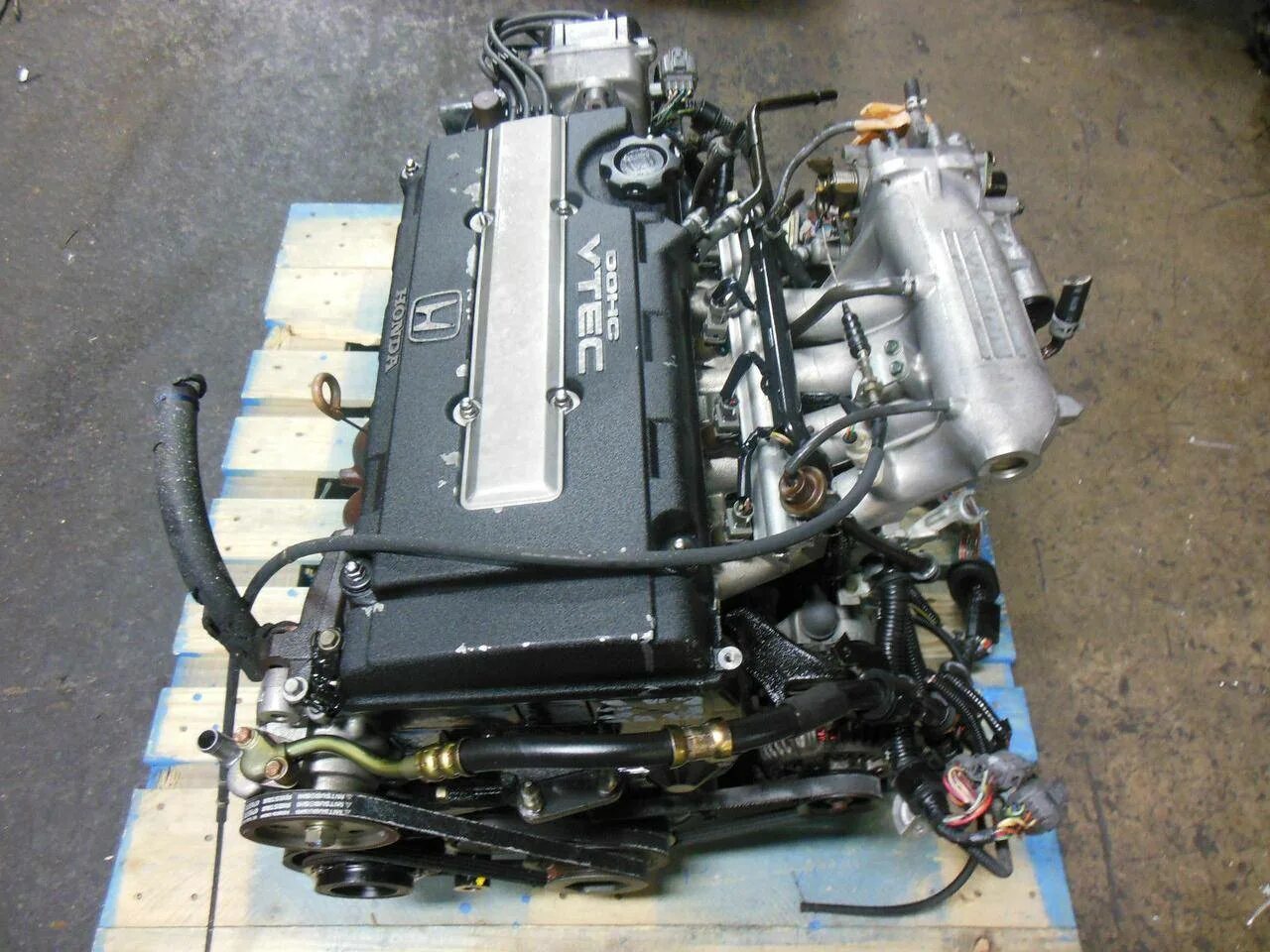 Двигатель b16a Honda. Honda Civic b16a2. Двигатель Хонда b16. Мотор b16b VTEC.