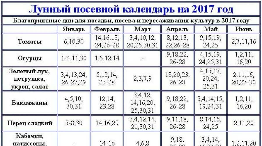 Календарь посева петунии в 2024 году. Лунный календарь. Календарь посадки семян. Благоприятные дни для посадки. Лунный календарь посадок.