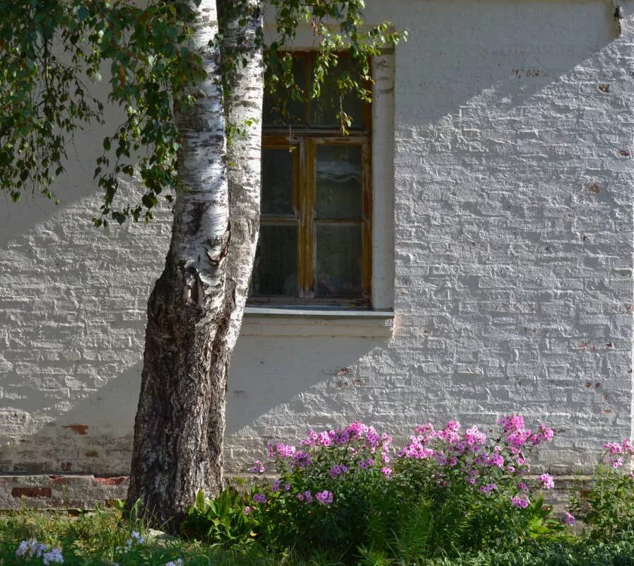 Вид из окна березы. Сергей александрович есенин дом. Деревенский домик с березками. Майская березка кустарник. Деревенский домик с березками.