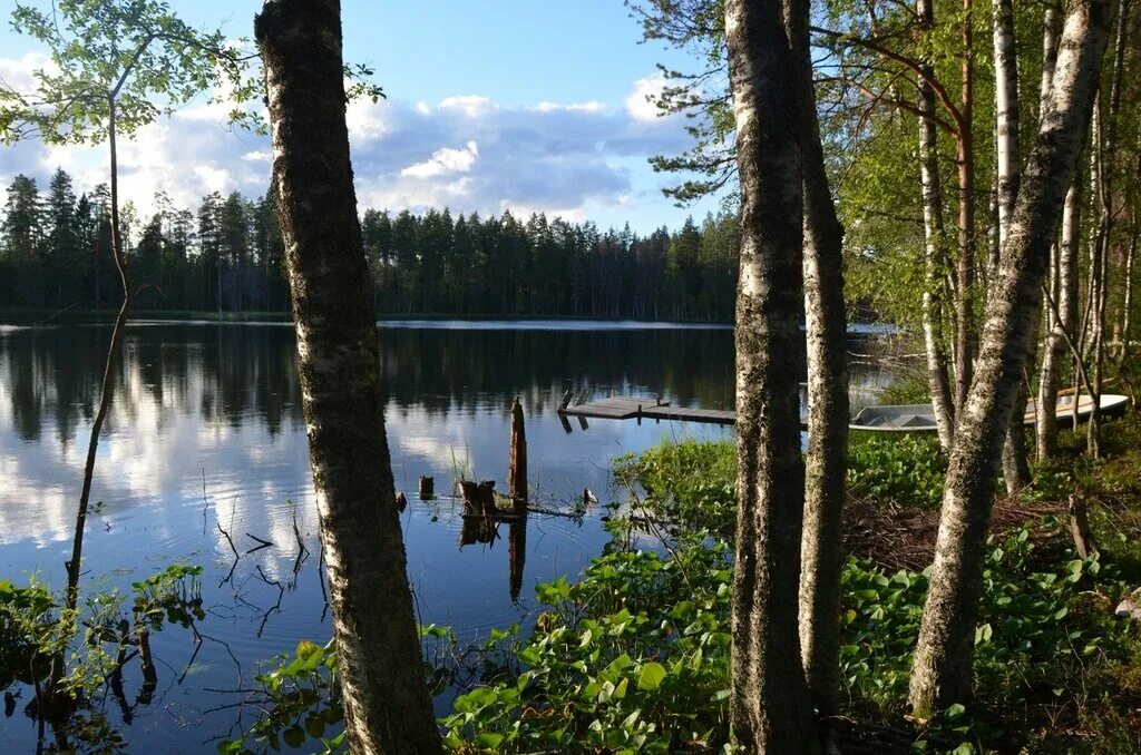 Тоунан лахденпохского карелия. Терву лахденпохский район республика карелия. Миконсаари остров. Долина водопадов карелия лахденпохский район. Россия, республика карелия, лахденпохский район, остров макаринсаари.