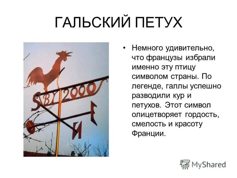 Почему франция петух