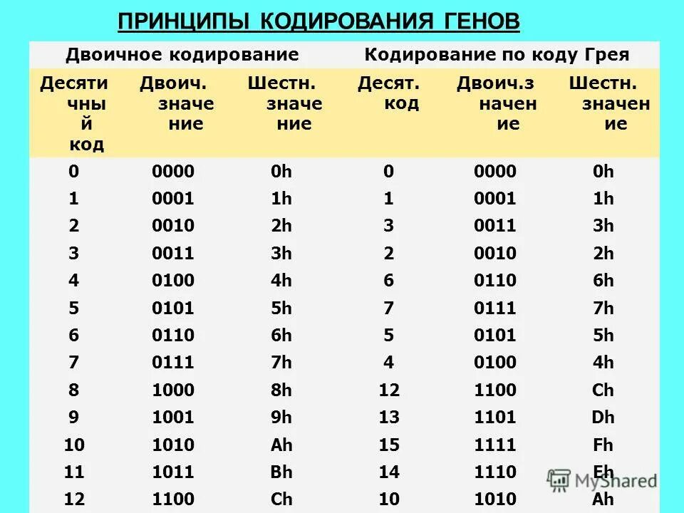 Структурно-функциональная единица днк. Ген участок днк кодирующий первичную структуру одного. В 1 гене закодирована информация. Структура участка молекулы днк кодирующий последовательность. Какие гены кодируют ферменты.