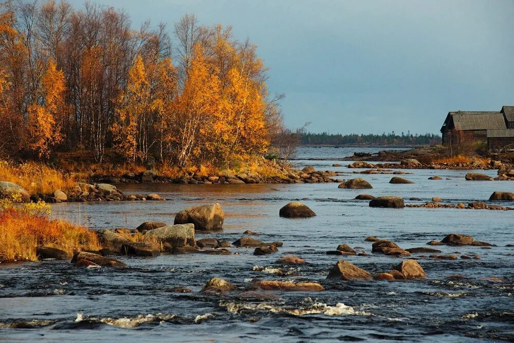 Онега норвежский прогноз. Кемь Карелия осень природа. Река Кемь Карелия. Река Кемь осенью. Карело-финская природа.