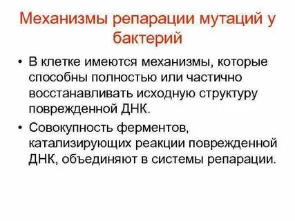 Связь между репарацией и мутационным процессом
