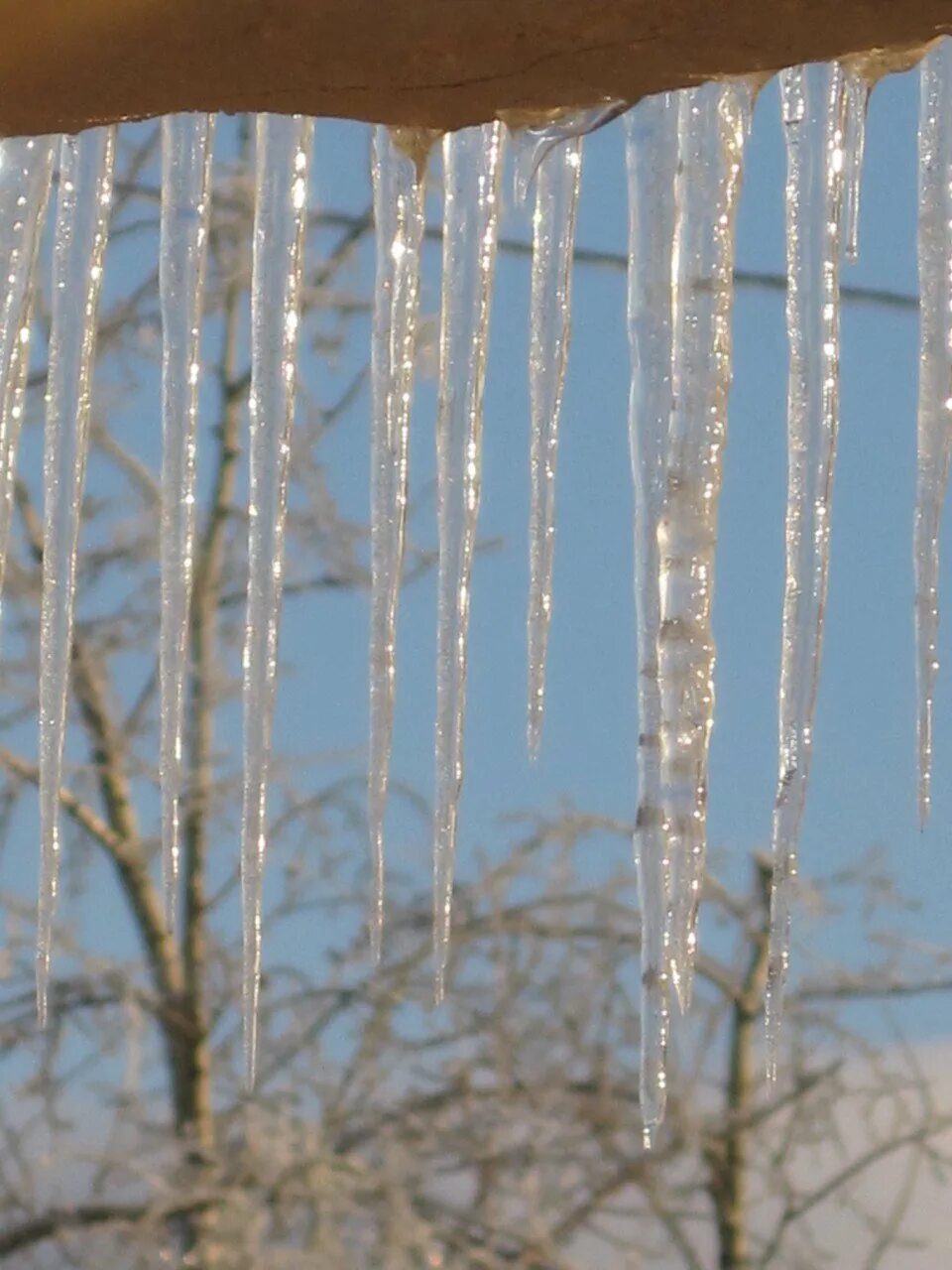 капель что это такое