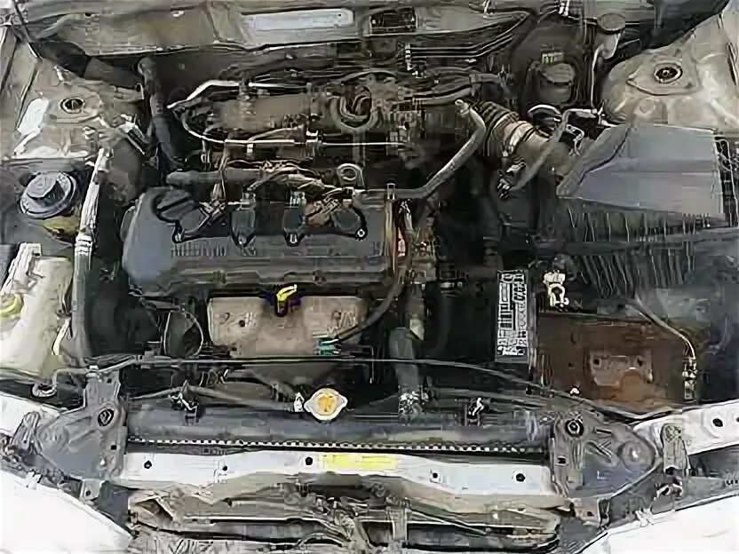 1. Nissan almera n16 двигатель. Nissan almera n16 двигатель. С. Двигатель на ниссан альмера н16.