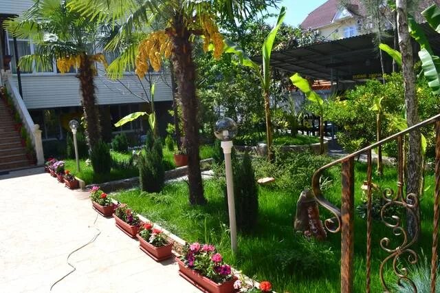 зеленый дворик адлер. зелёный дворик адлер ул ленина 219/17. зеленый дворик адлер. адлер зеленый дворик. зеленый дворик адлер.