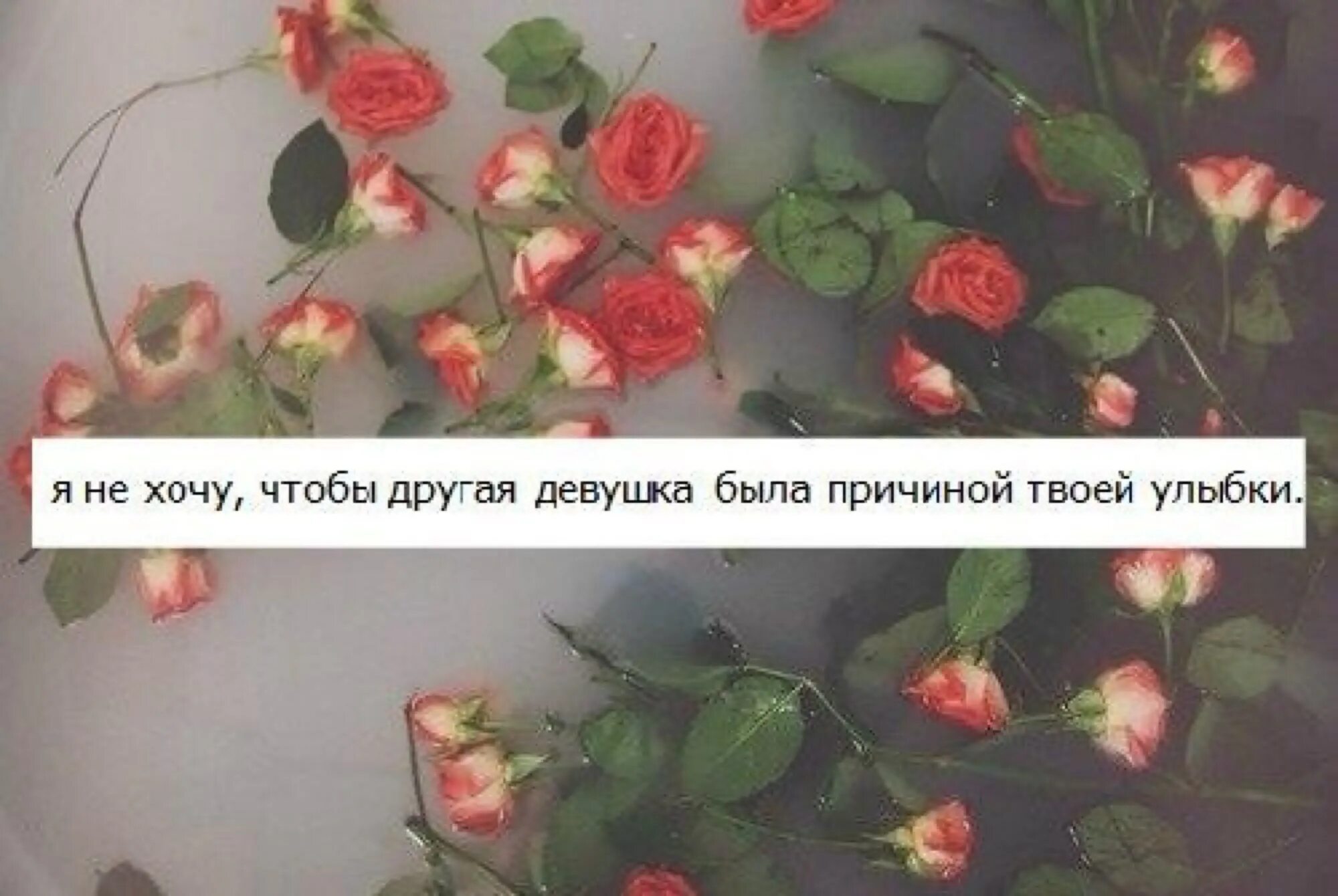 Когда ты улыбаешься. Обожаю твою улыбку. Зима и книги цитаты. Цитаты которые заставляют улыбаться. Твоя улыбка повод.