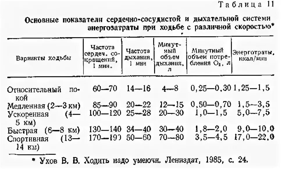Пульс при ходьбе. Нормальный пульс человека при ходьбе. пульс при быстрой ходьбе норма. нормальный пульс у взрослого при ходьбе. пульс при ходьбе норма у женщин.