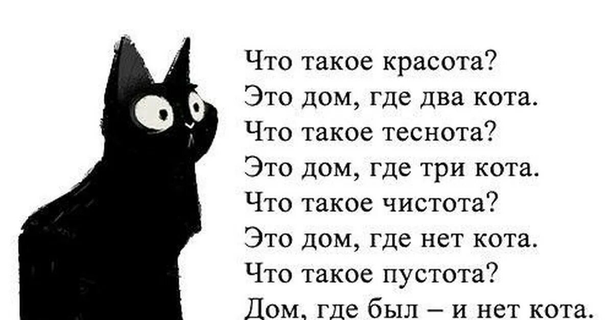 Стихи. Стих про черного кота. Что такое пустота это дом где нет кота. Стишок про черного котика. Сильные четверостишья