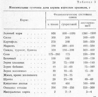 Можно ли кроликам мясо