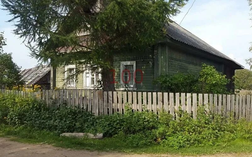 Авито хвойная новгородская. Деревня Гусево Хвойнинский район Новгородская область. Деревня Хвойная Новгородская область. Деревня Гусева Новгородской области. Новгородская область, Хвойнинский р-н, д. Гусево.