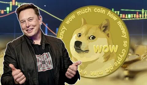 Musk meme криптовалюта
