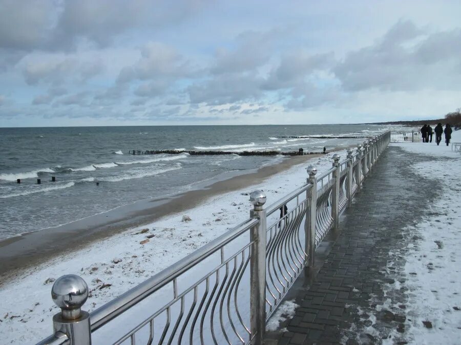 Ветритм зеленоградск. Балтийское море зеленоградск. Улица кошек в зеленоградске калининградской области. Зеленоградск в марте. Зеленоградск набережная.