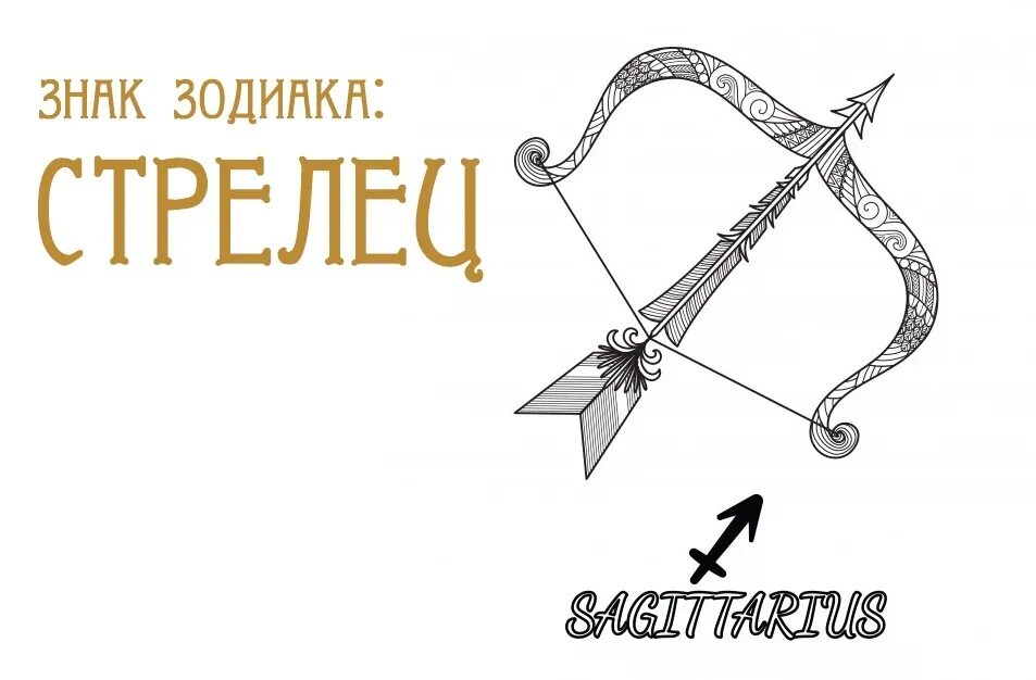 Дружба стрельцов