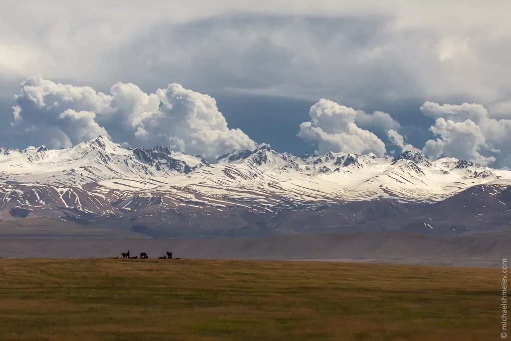 Киргизия в мае. Суусамырская Долина Киргизия. Сусамырская Долина в Киргизии. Горы Суусамыр. Сусамырский перевал Киргизия.