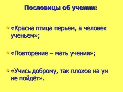 Пословица человек знания