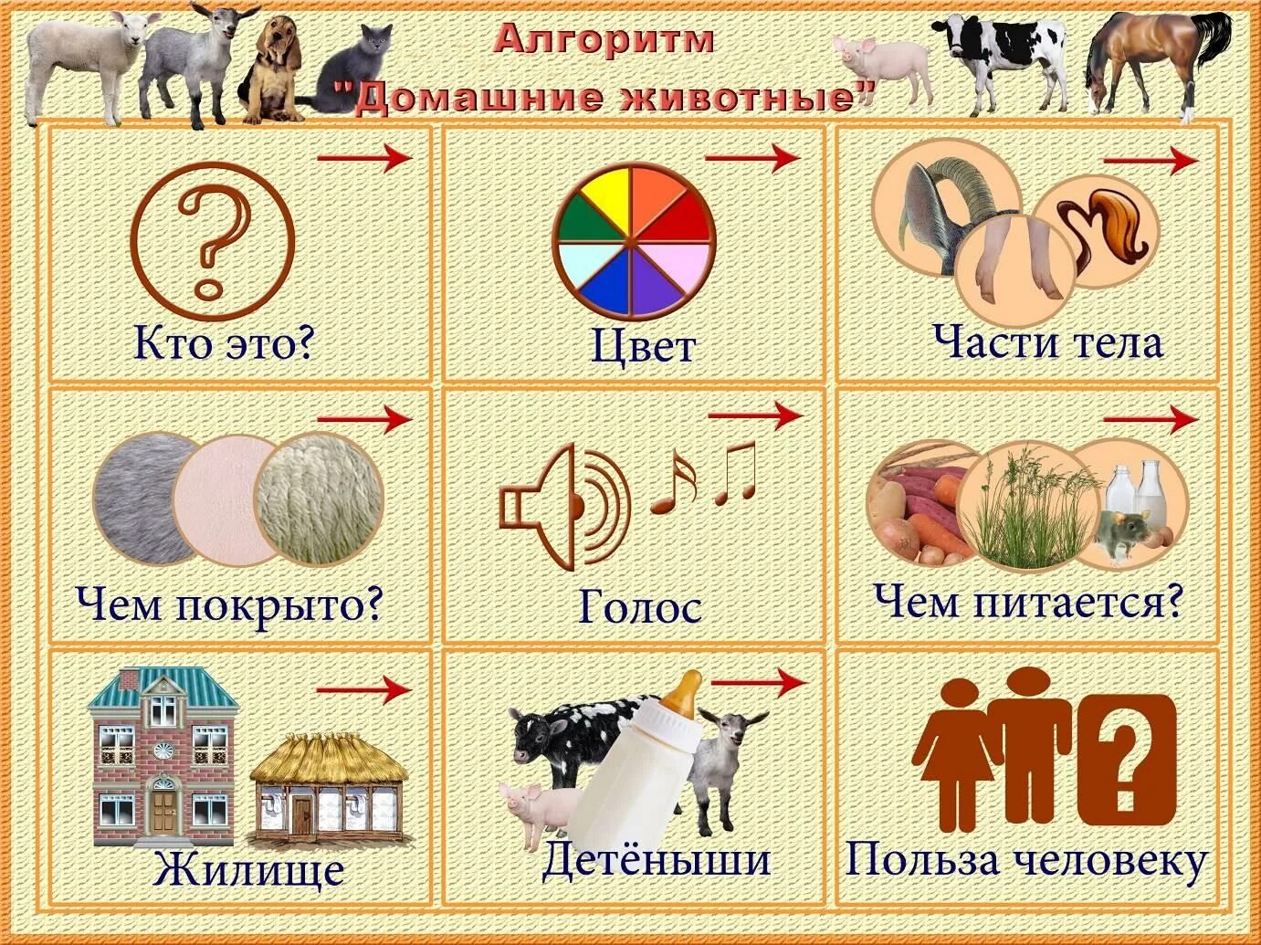 Расскажи каким образом. Схема для составления описательного рассказа о животных. Схема описания домашнего животного. Схемы по составлению описательных рассказов. Составление рассказов описаний по схемам.
