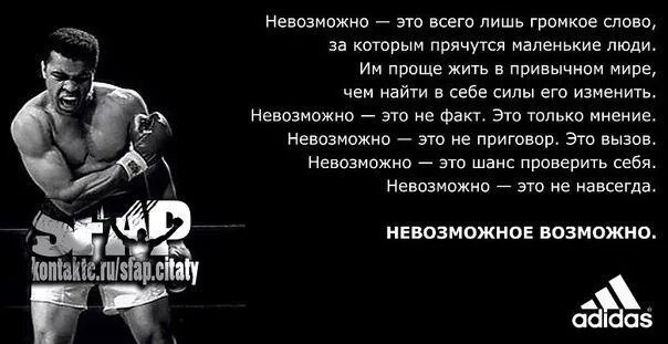 Невозможное возможно смысл. Высказывания спортсменов. Высказывания про бокс. Цитаты про бокс. Спортивные цитаты.