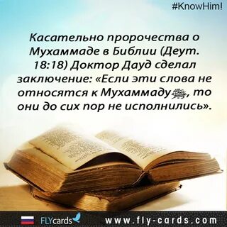 Упоминание в библии