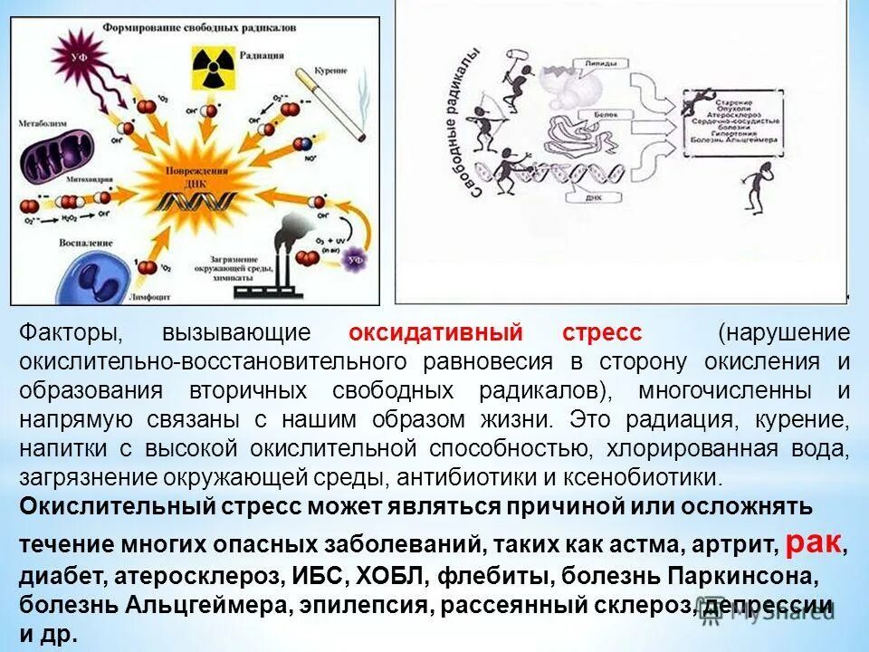 Окислительный стресс организма