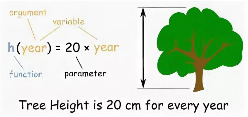 Argument of a function