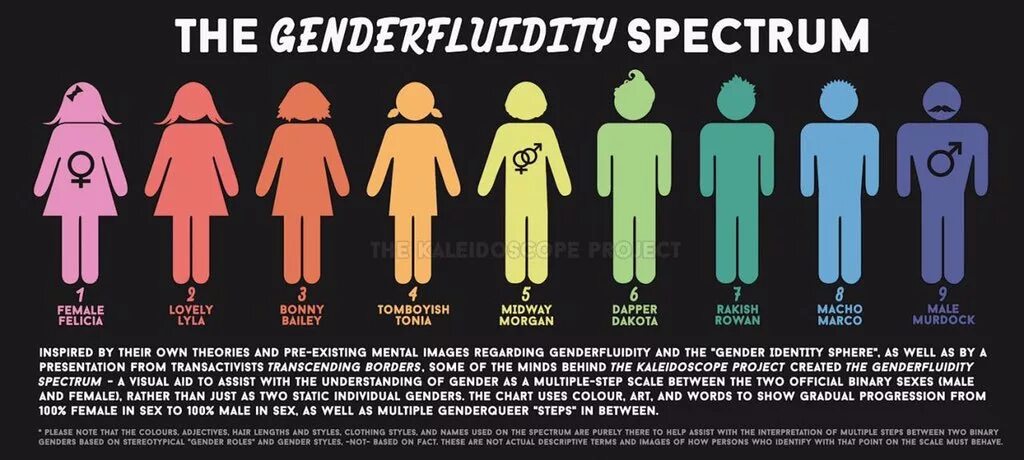 У человека есть пол. Таблица гендеров. Сколько гендеров существует. Гендеры полный список. Гендеры человека список.