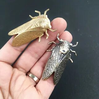 Насекомые похожие на цикаду