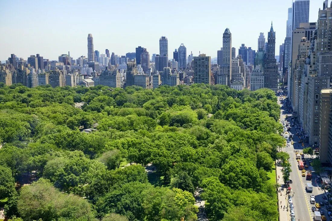 Парки в америке в городе. Парк в Нью-Йорке. Централ парк Нью-Йорк. Центральный парк Манхэттен. Центральный парк (г. Нью-Йорк).