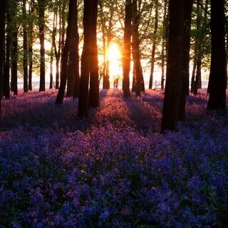 Evening here