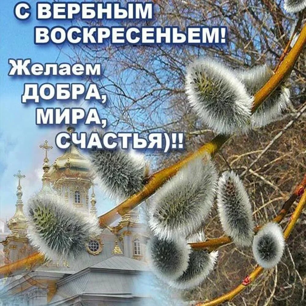 Шумное воскресение. Вербное воскресенье поздравления. поздравления с вербным во кресеньем. поздравления пос вербным воскресением. поздравление с вербным воск.