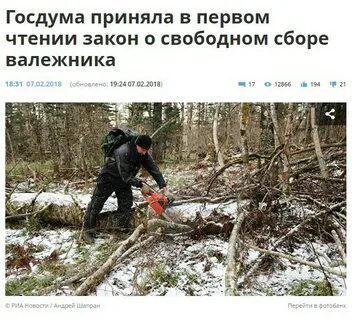 Какой валежник