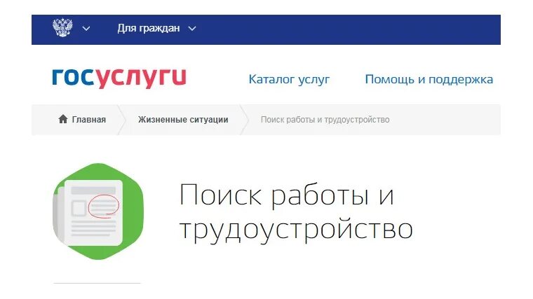 Гос услугу работа