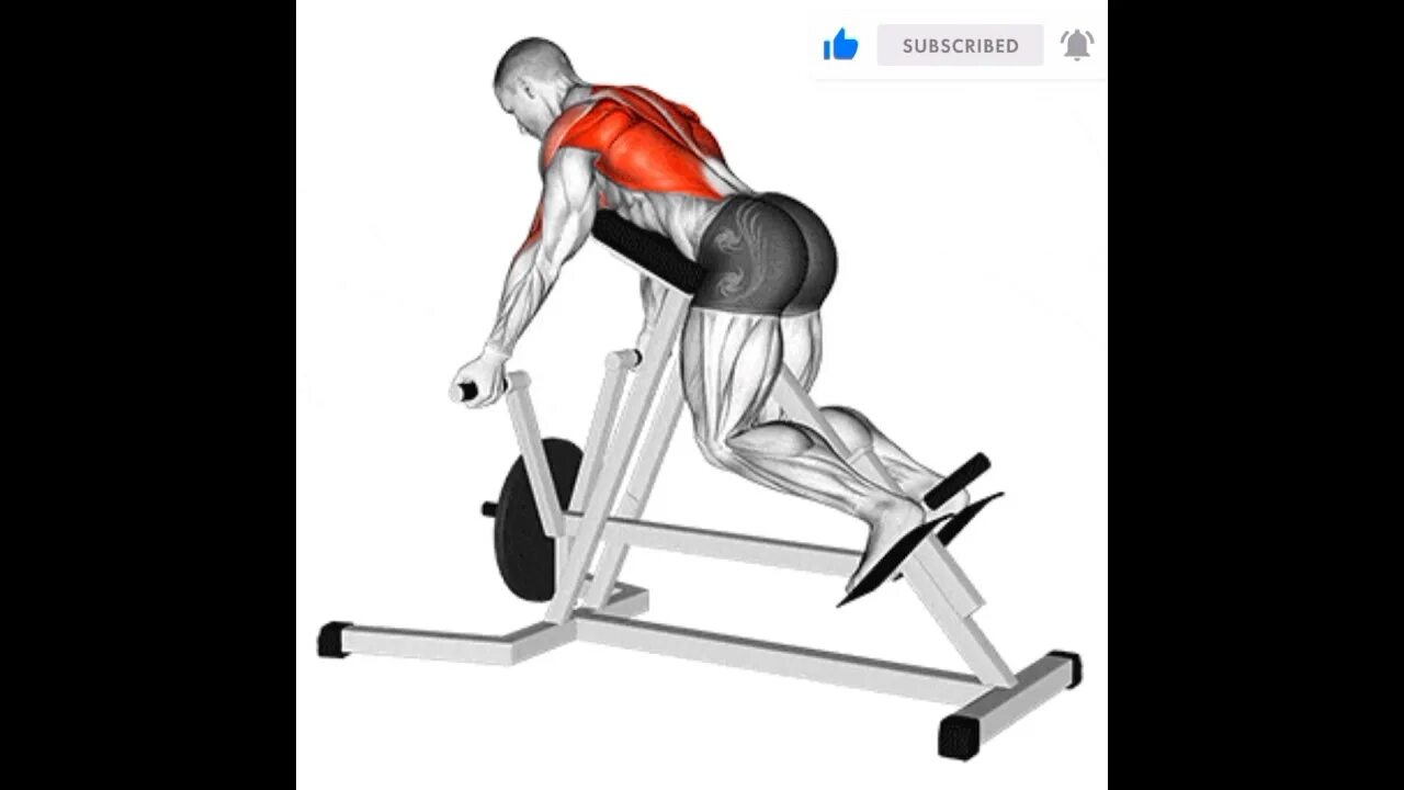 T bar rows