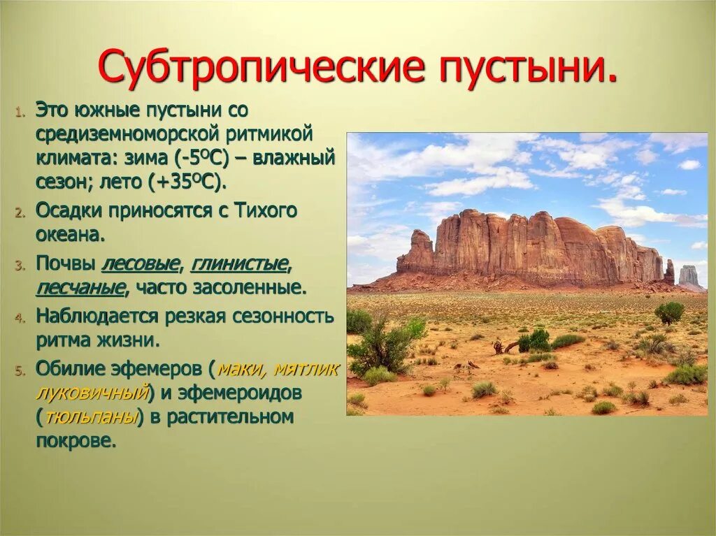 Субтропические пустыни и полупустыни климат. Субтропические пустыни и полупустыни климат Африки. Полупустыни и пустыни климат почвы. Климатические условия пустыни и полупустыни в России.